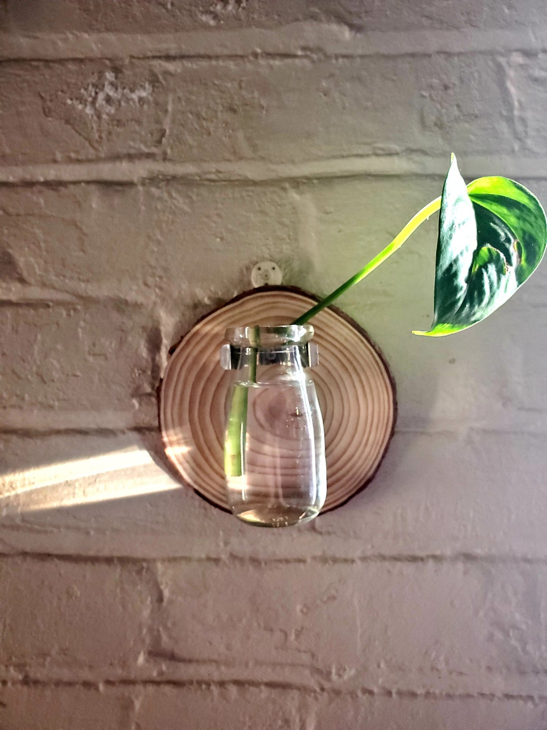 Wall Hanging Propagation Station Etsy