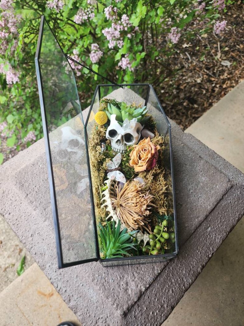Glass Coffin Terrarium. Unique Gift. Skulls Dried Flowers Etsy