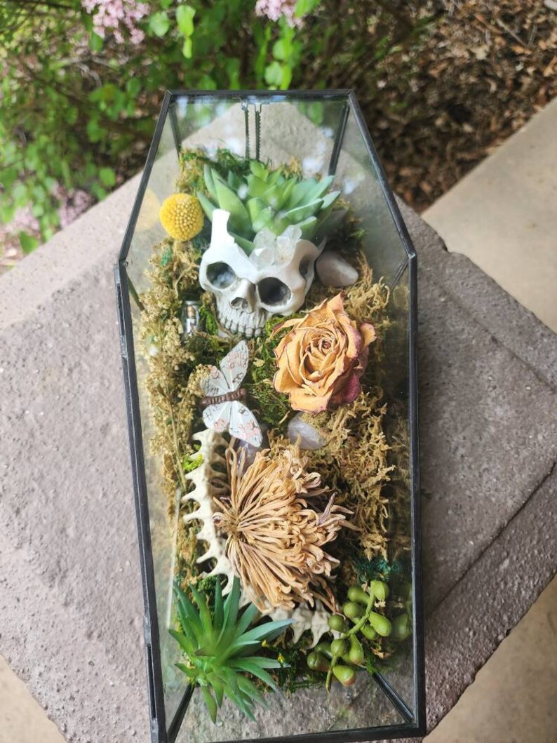 Glass Coffin Terrarium. Unique Gift. Skulls Dried Flowers Etsy