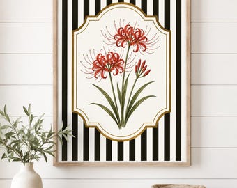 Arte mural de lirio araña japonés, ilustración botánica, decoración floral clásica de rayas de estilo rústico, obra de arte floral vintage, pintura roja colorida