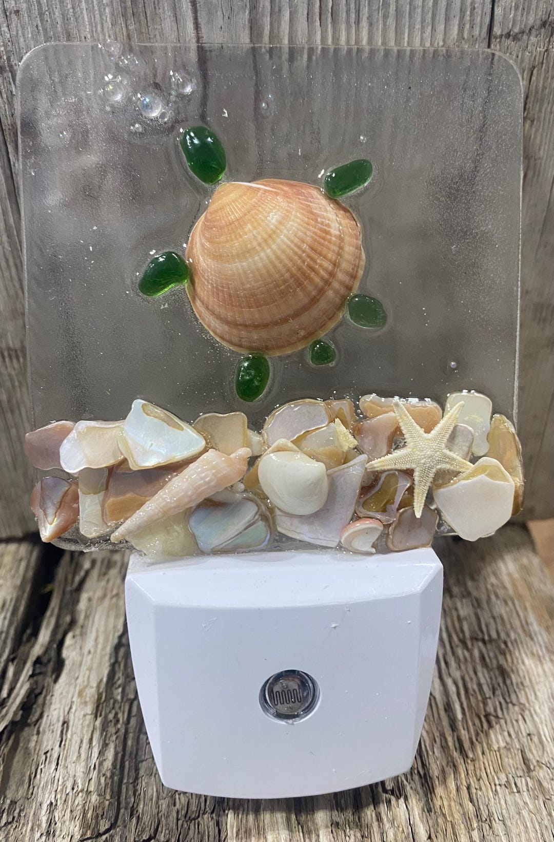 Turtle Shell Light COASTAL Night Light- TURTLE, Glass With Shells - Etsy