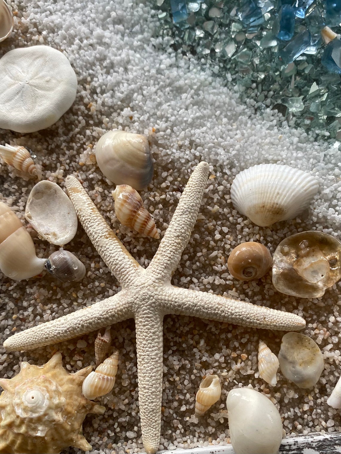 BEACH SCENE W/ STARFISH - 8X10 Framed Art W/crushed Glass in Resin - Etsy
