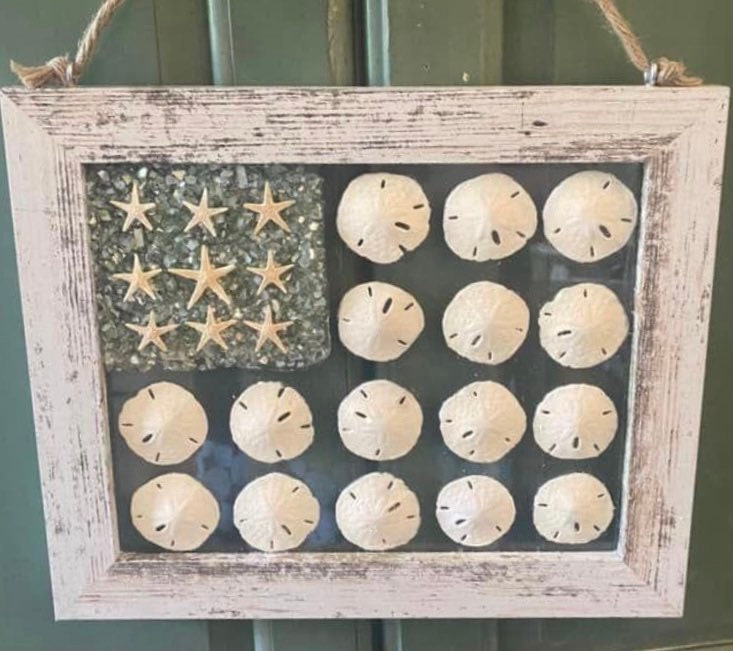 American FLAG Sand Dollar & Starfish Framed Art 