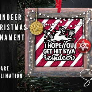 Sassy Sarcastic Ornament, Christmas Ornament, Holiday Ornament Sublimation Funny Ornament - Hit by Reindeer