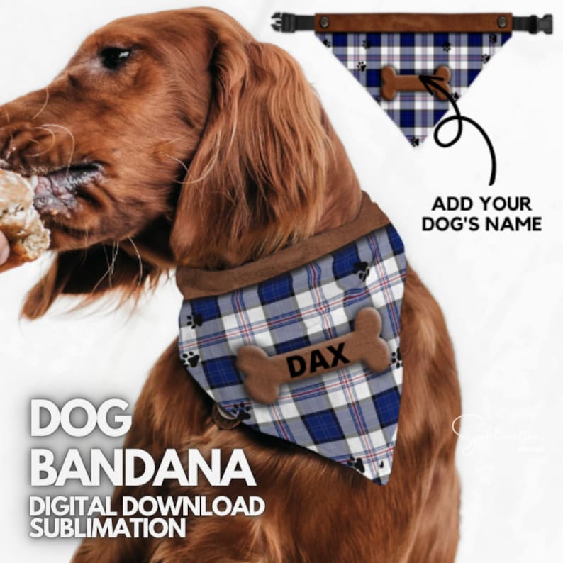 Pu&ograve; includere: Un bandana per cani a quadri blu e bianchi con un osso marrone e impronte di zampe. Il bandana ha il testo "DAX" su di esso. Il bandana &egrave; su un cane marrone.
