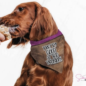 Può includere: Un cane marrone che indossa un bandana di pelle marrone con bordi viola e il testo "Pretty Good At Bad Decisions".