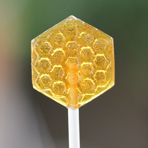 Handmade Natural Individually Wrapped Raw Honey Lollipops Set Etsy