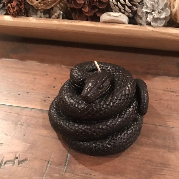 Snake Candle Holder Etsy