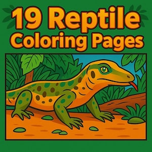 Reptile Coloring Book