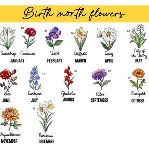 May include: A white background with a yellow banner at the top, featuring the text "Birth month flowers." Below, illustrations of various flowers are labeled with their names and the corresponding birth months, including Snowdrop, Carnation, and Rose.