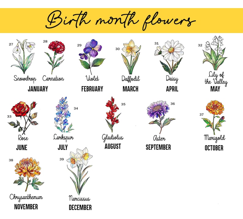 May include: A white background with a yellow banner at the top, featuring the text "Birth month flowers." Below, illustrations of various flowers are labeled with their names and the corresponding birth months, including Snowdrop, Carnation, and Rose.