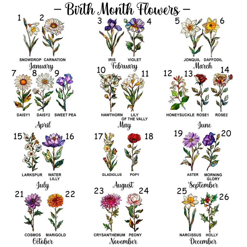 May include: A graphic featuring illustrations of birth month flowers, each labeled with a month and flower name. Includes snowdrop, carnation, iris, violet, jonquil, daffodil, daisy, sweet pea, hawthorn, lily of the valley, honeysuckle, rose, larkspur, water lily, gladiolus, poppy, aster, morning glory, cosmos, marigold, chrysanthemum, peony, narcissus, and holly.