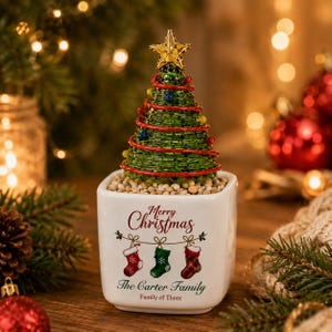 May include: A white ceramic square planter featuring the text Merry Christmas, The Carter Family, and Family of Three, with an illustration of three hanging stockings. A green wire Christmas tree with a gold star topper sits in the planter.