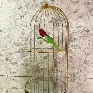 May include: A gold-colored, birdcage-shaped decorative shelf with two circular glass shelves. A single red tulip rests on the top shelf. The shelf has a rounded top and a black base.