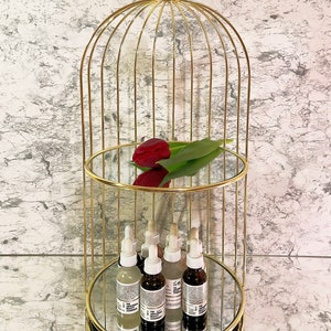May include: A gold-colored, three-tiered decorative shelf with mirrored surfaces. The top shelf holds a red tulip and green leaves. The bottom shelves display several skincare product bottles. The shelf has a birdcage-like design.