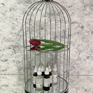 May include: A chrome metal decorative shelf in the shape of a birdcage, with two mirrored shelves. A red tulip and several skincare product bottles are displayed on the shelves. The background is a marble-patterned wall.