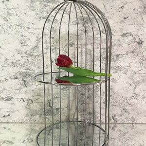 May include: A decorative, chrome-finished, birdcage-style shelf with two mirrored tiers. A single, deep red tulip rests on the top shelf. The shelf has a clear, crystal-like finial at the top and is set against a marbled background.