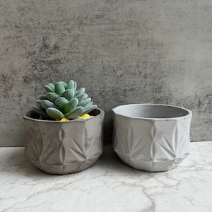 Plant pattern flower pot silicone mold vase flower pot storage box gypsum drop glue mold