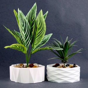 May include: Two white geometric planters with green plants. The planters have a diamond pattern and are filled with small brown stones.