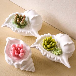 3D Conch Scented Candle container Silicone Mold DIY Ocean Craft Ornaments Jewelry Storage Box Resin Mould Home Decor Supplies