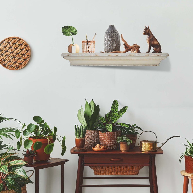 Cheyenne Wallmount Display Shelf Wall Shelves Organizer for Etsy