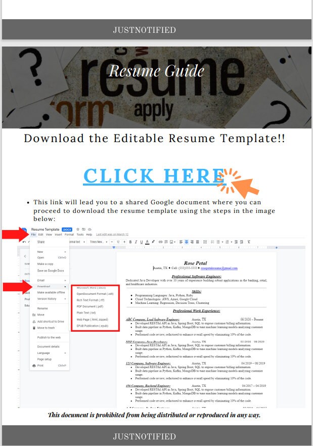 Technical Resume Guide & Editable Template FAANG Resume Template Tech