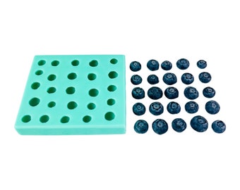 25 Cavity Realistische Blaubeer-Silikonform, gemischte Beeren