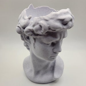 Puede incluir: Un busto de yeso blanco de un hombre con la parte superior astillada, que se asemeja a una maceta. El busto tiene una superficie texturizada y una cara detallada.