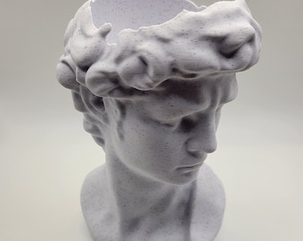David Head Planter by Michelangelo