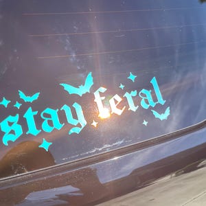 May include: A teal blue vinyl sticker with the text "stay feral" in a gothic font. The sticker is on the back window of a dark brown car. There are small bat and star shapes around the text.