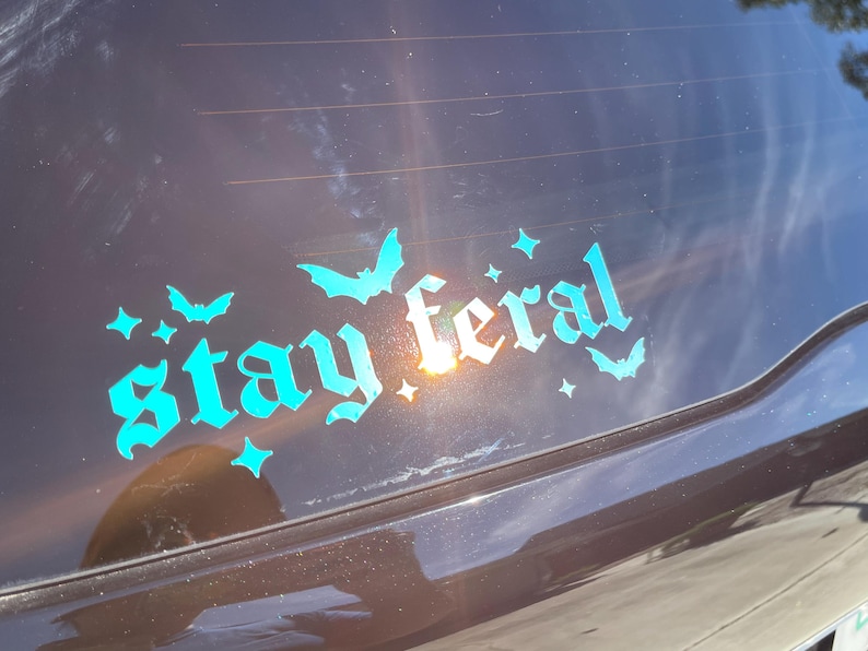 May include: A teal blue vinyl sticker with the text "stay feral" in a gothic font. The sticker is on the back window of a dark brown car. There are small bat and star shapes around the text.
