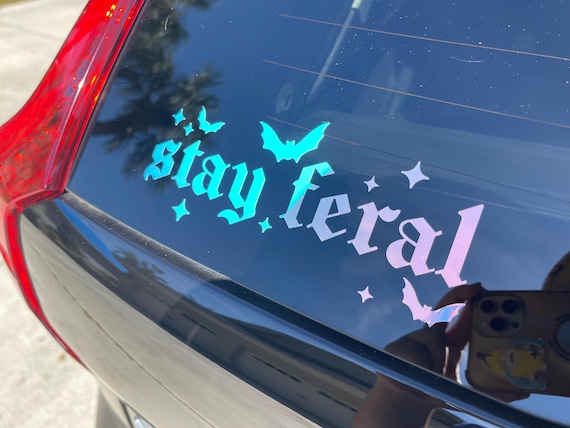 Stay Feral Decal, Funny Car Sticker, Spooky Babe, Spooky Bitch, Spooky Decal, goth car accessories, spooky car accents, witchy decals