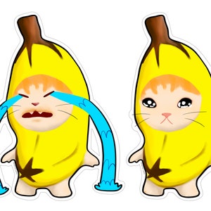 Sticker meme drôle de chat qui pleure à la banane | Sticker chat heureux | adhésif pour pare-chocs de camion de voiture | Autocollant en vinyle pour bouteille d'eau | Stickers amoureux des chats