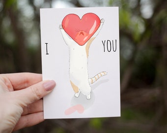 May include: A white and orange cat holding a red heart balloon with the text "I YOU" on a white card.