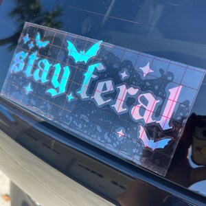 May include: A black car with a sticker on the back window that says "Stay Feral" in a gothic font. The sticker is iridescent and has a blue and pink color scheme. There are bats and stars on the sticker.