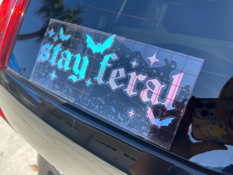 May include: A black car with a sticker on the back window that says "Stay Feral" in a gothic font. The sticker is iridescent and has a blue and pink color scheme. There are bats and stars on the sticker.