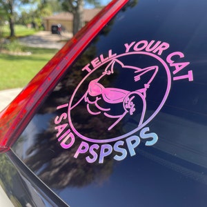 K&ouml;nnte beinhalten: Ein rosa-blauer Autoaufkleber mit einer Katze, die eine Sonnenbrille tr&auml;gt, und dem Text "Tell your cat I said pspsps".