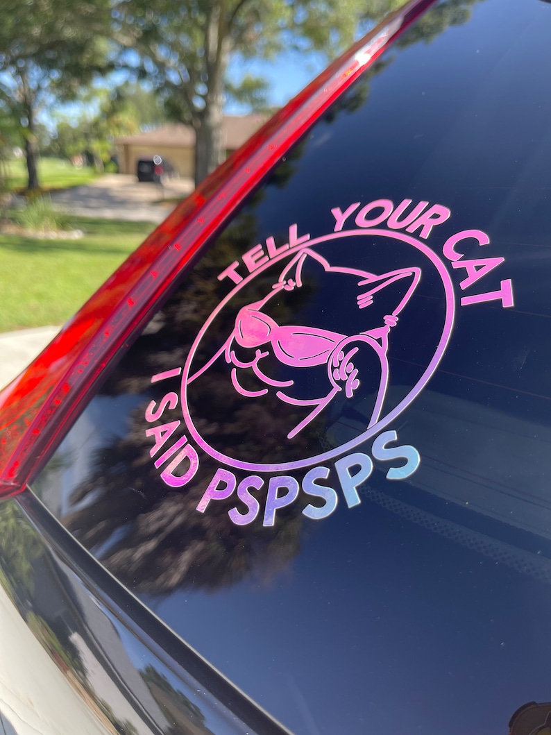K&ouml;nnte beinhalten: Ein rosa-blauer Autoaufkleber mit einer Katze, die eine Sonnenbrille tr&auml;gt, und dem Text "Tell your cat I said pspsps".