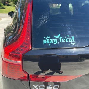 May include: A black car with a teal blue vinyl sticker on the back window that says "stay feral" with bats and stars around the text.