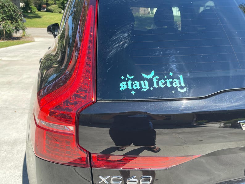 May include: A black car with a teal blue vinyl sticker on the back window that says "stay feral" with bats and stars around the text.