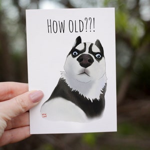 Carte d'anniversaire drôle de husky, carte de voeux hilarante, meme internet drôle, carte de collègue de meilleur ami de petite amie de petit ami, carte pour le mari
