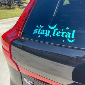 May include: A black car with a teal blue vinyl sticker on the back window that says "stay feral" with bats and stars around the text.