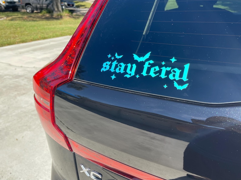 May include: A black car with a teal blue vinyl sticker on the back window that says "stay feral" with bats and stars around the text.