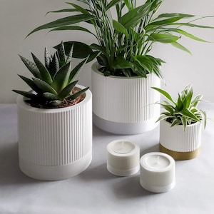 Indoor Planter - Plant Pot | STRIATA - 5 Sizes & Custom Size Available | Minimalist Design | Modern Home Decor
