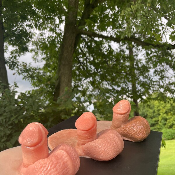 Gorgeous alert! HAND PAINTED, highly realistic, Formula 3 andoillette in light, mid, or dark - soft as fuck!!! Comes with durability layer!