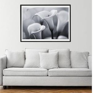 Black and White Calla Lily – Minimalist Floral Digital Art Print, Elegant Calla Lily Wall Art – Black and White Floral Instant Download