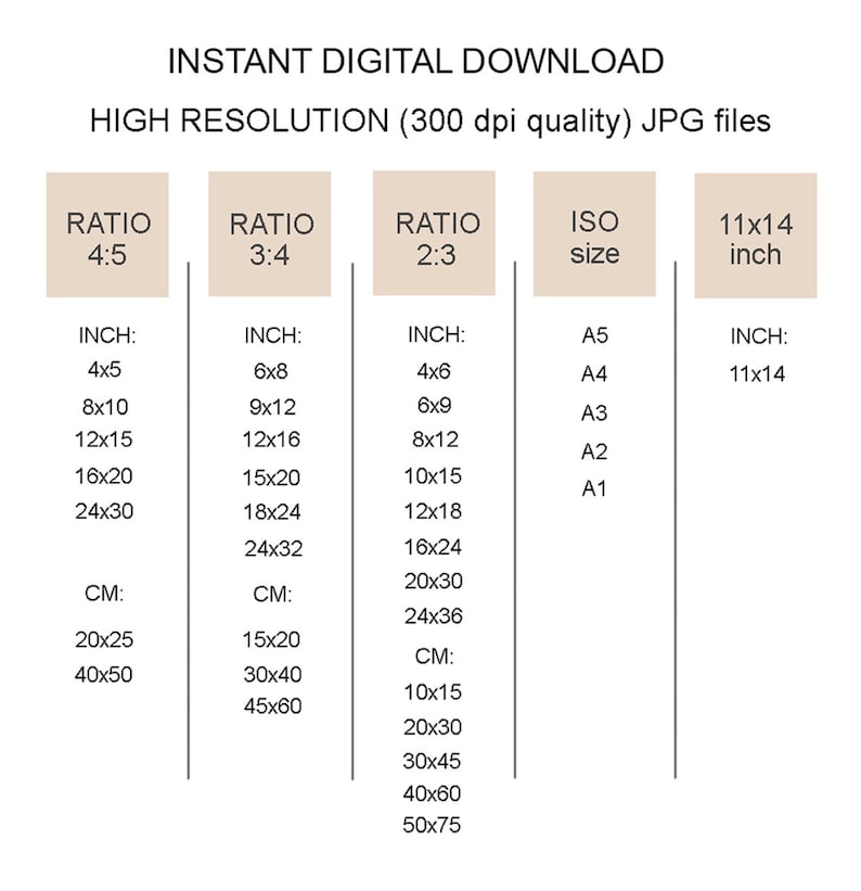 May include: Digital download image with size ratios and dimensions in inches and centimeters. Includes 4:5, 3:4, and 2:3 ratios, ISO sizes, and an 11x14 inch option. Text reads "INSTANT DIGITAL DOWNLOAD" and "HIGH RESOLUTION (300 dpi quality) JPG files."
