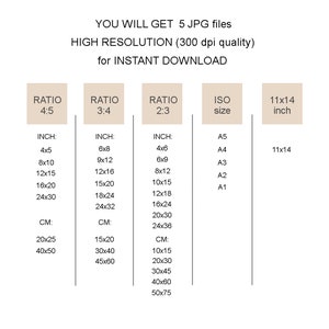 May include: A chart showing different aspect ratios for digital images, including 4:5, 3:4, and 2:3. The chart also includes standard ISO paper sizes, such as A5, A4, A3, A2, and A1. The chart also includes a 11x14 inch option. The chart shows the dimensions in inches and centimeters.