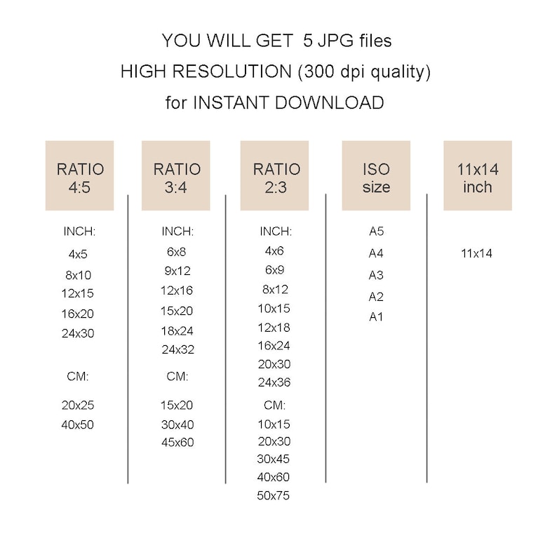May include: A chart showing different aspect ratios for digital images, including 4:5, 3:4, and 2:3. The chart also includes standard ISO paper sizes, such as A5, A4, A3, A2, and A1. The chart also includes a 11x14 inch option. The chart shows the dimensions in inches and centimeters.