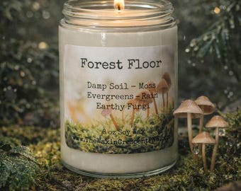 Forest Floor Soy Candle: Earthy Moss, Petrichor & Evergreen Scent